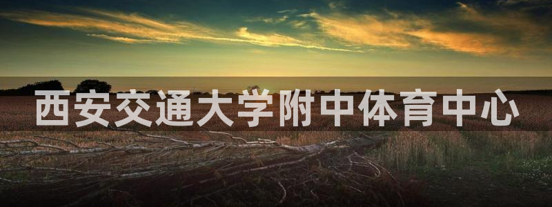 v站体育官网app：西安交通大学附中体育中心