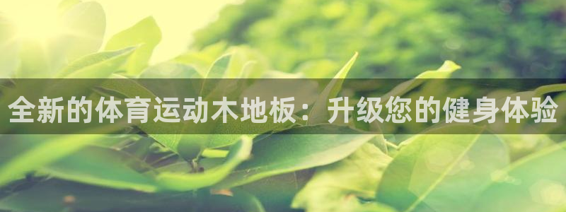 v站体育官网app下载