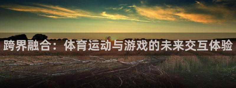 v站体育官网app下载：跨界融合：体育运动与游戏的未来交互体验